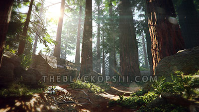 Redwood Preview