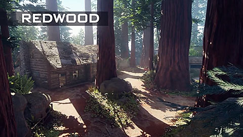 Redwood Multiplayer Map